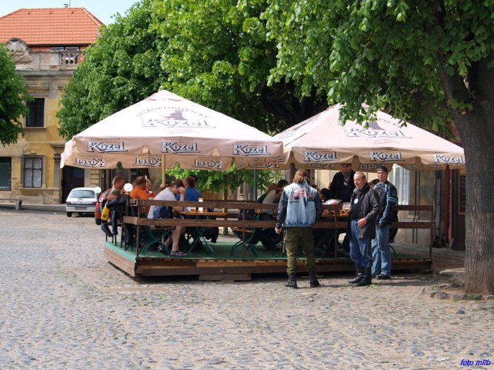 P5087993.jpg